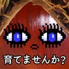 麻花星空mv在线看免费官方版